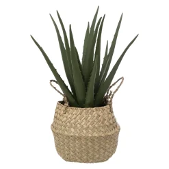 Atmosphera Plantes Artificielles*Aloe vera artificiel Beige
