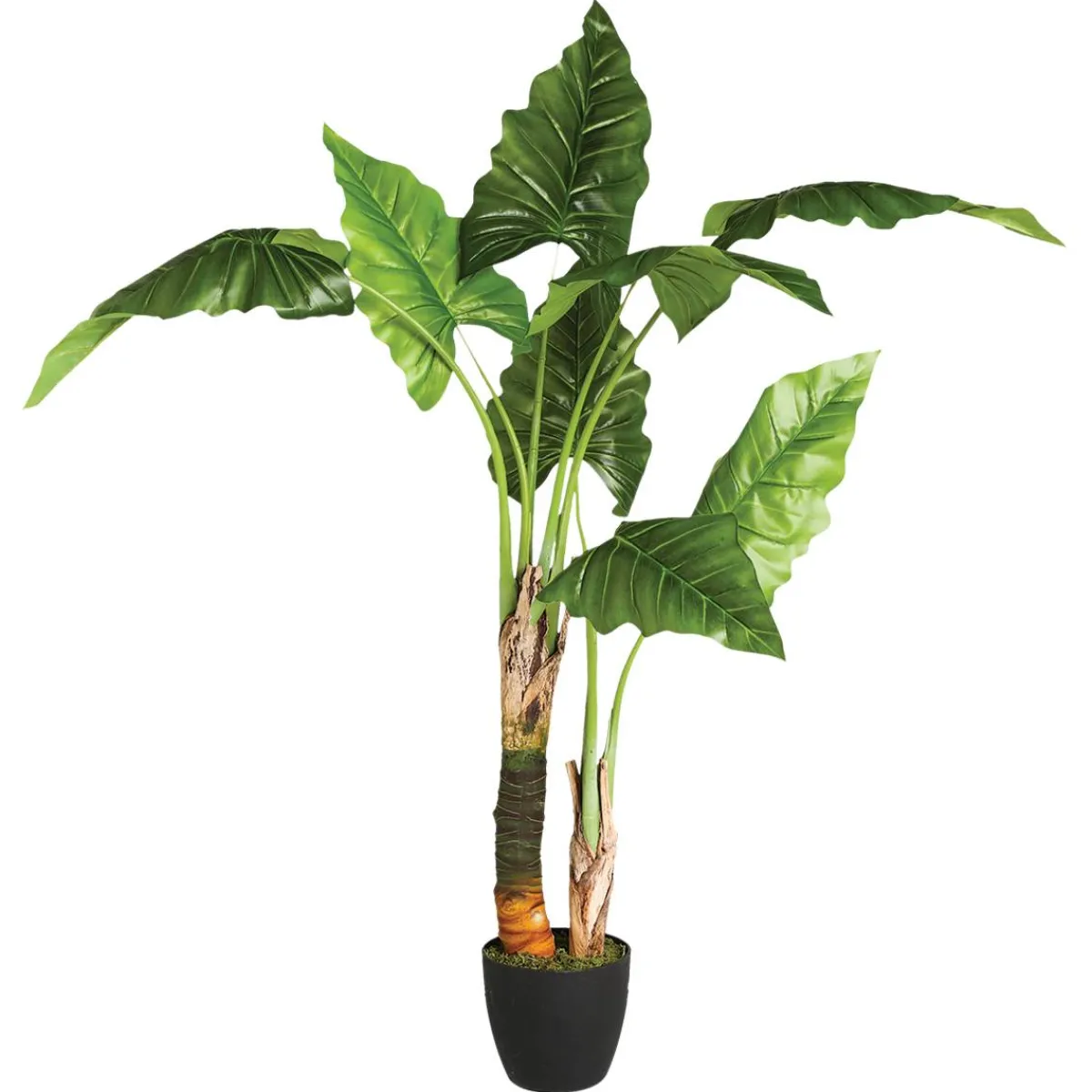 Atmosphera Plantes Artificielles*Bananier artificiel Blanc
