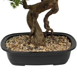Atmosphera Plantes Artificielles*Bonsaï artificiel en pot "Polin" Vert