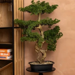Atmosphera Plantes Artificielles*Bonsaï artificiel en pot