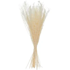 Atmosphera Fleurs Séchées*Bouquet de plantes séchées Blanc