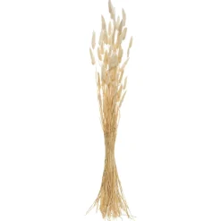 Atmosphera Fleurs Séchées*Bouquet de plantes séchées Blanc