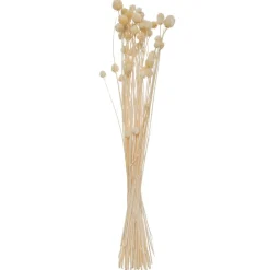 Atmosphera Fleurs Séchées*Bouquet de plantes séchées Blanc