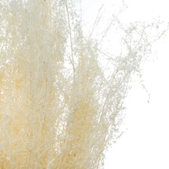 Atmosphera Fleurs Séchées*Bouquet de plantes séchées Blanc