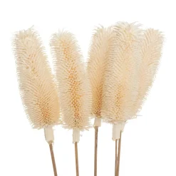 Atmosphera Fleurs Séchées*Bouquet de plantes séchées Blanc