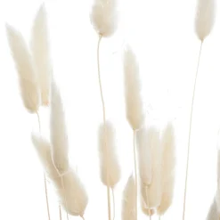 Atmosphera Fleurs Séchées*Bouquet de plantes séchées Blanc