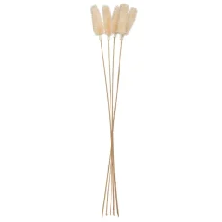 Atmosphera Fleurs Séchées*Bouquet de plantes séchées Blanc