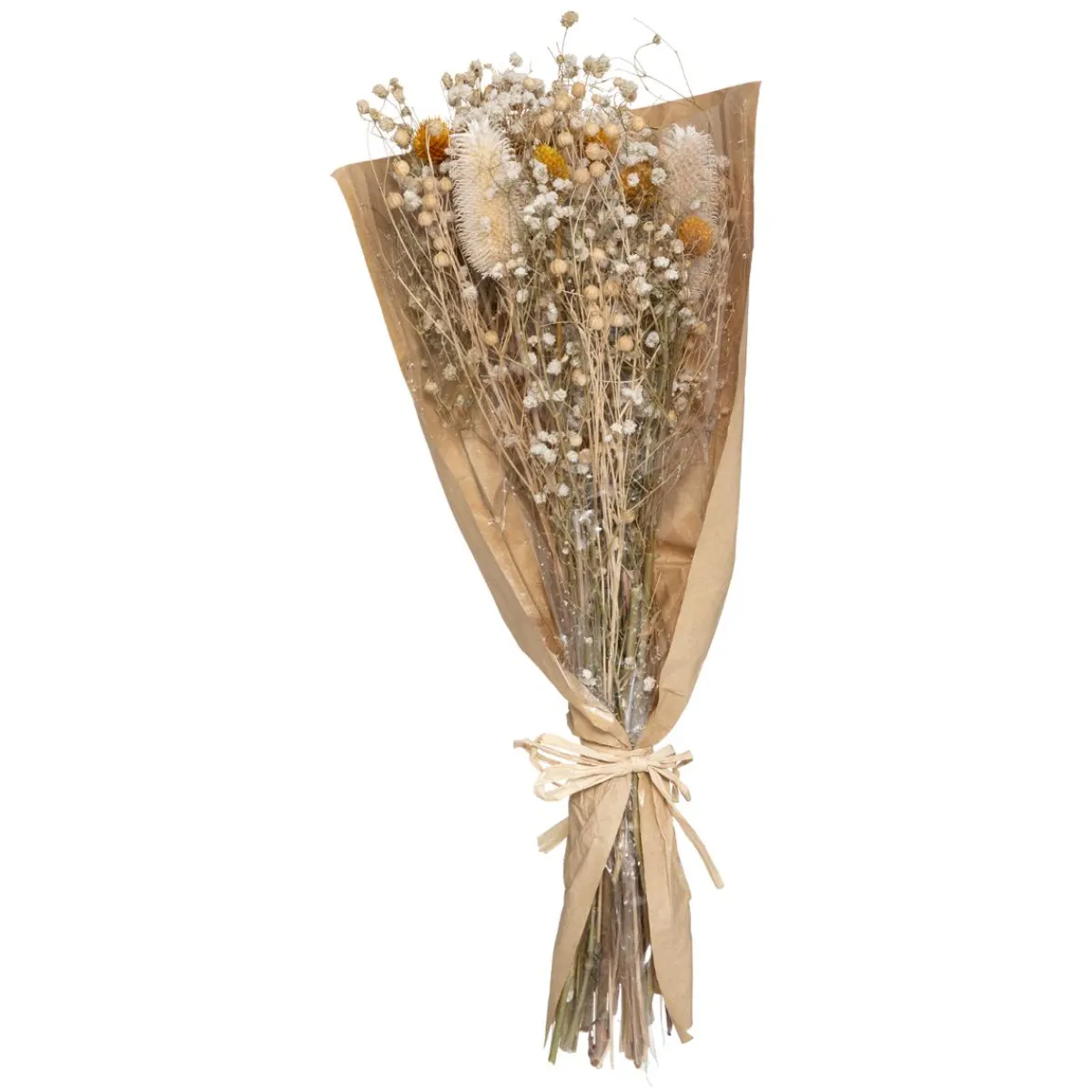Atmosphera Fleurs Séchées*Bouquet fleurs séchées "Chardon" Beige