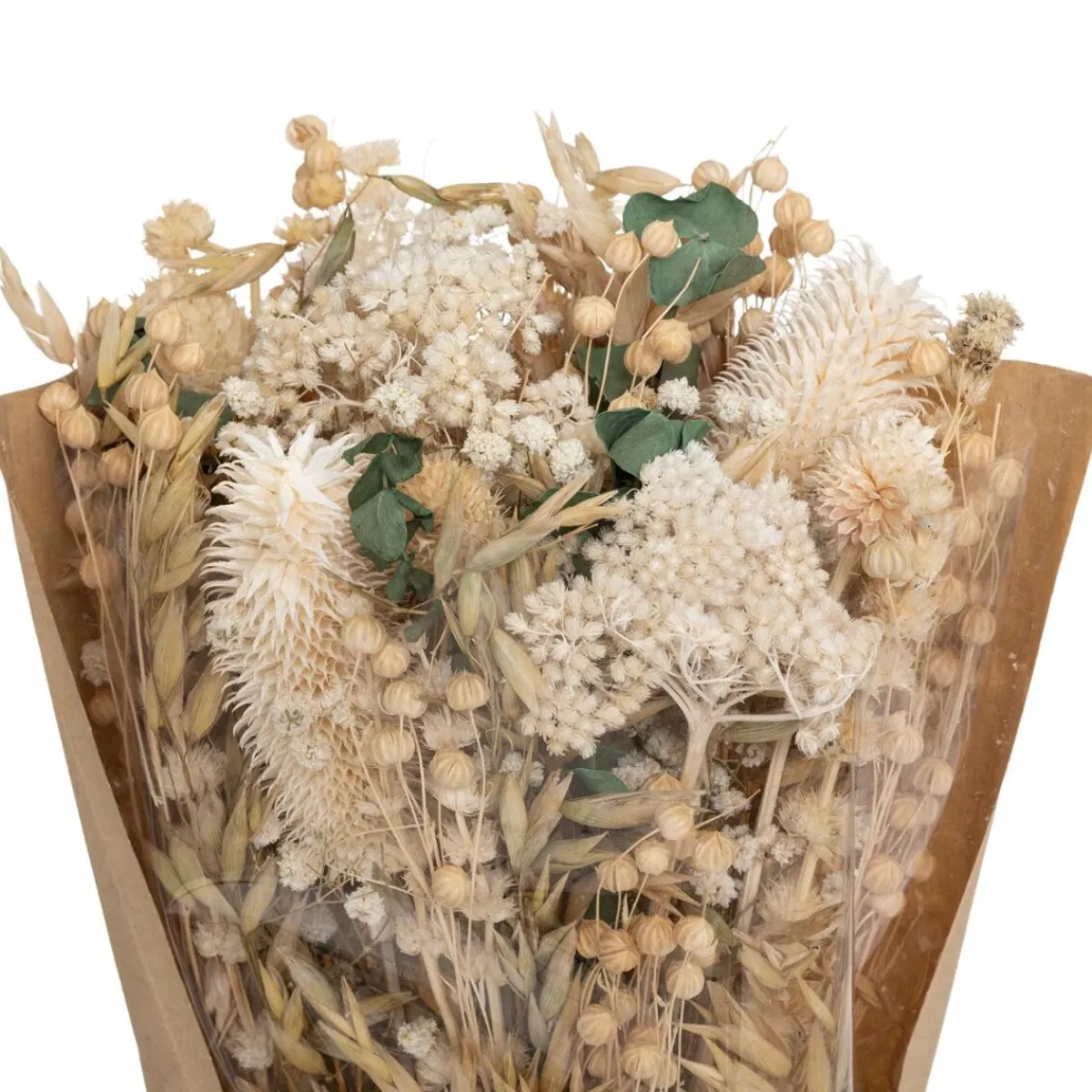 Atmosphera Fleurs Séchées*Bouquet fleurs séchées "Chardon" Beige