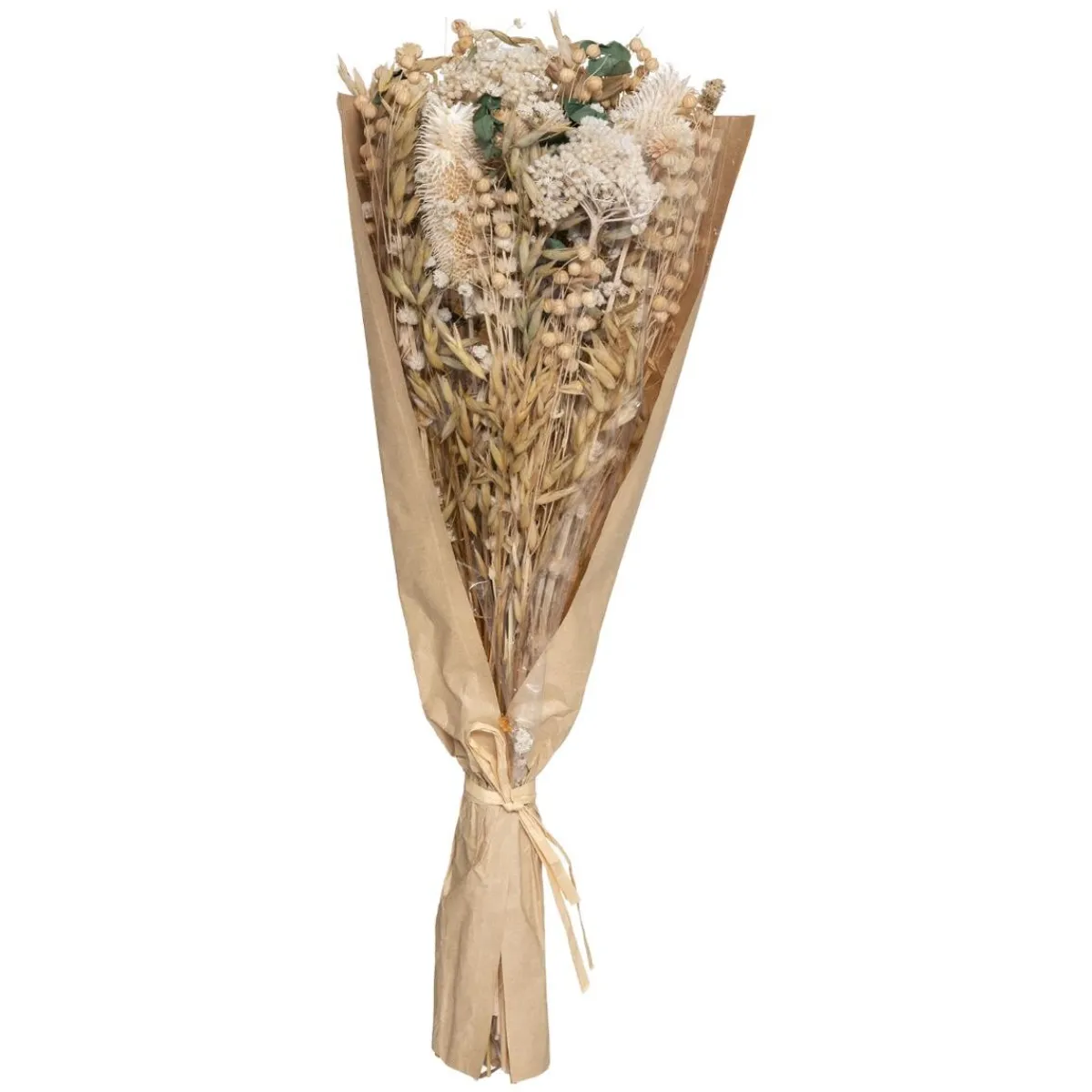 Atmosphera Fleurs Séchées*Bouquet fleurs séchées "Chardon" Beige