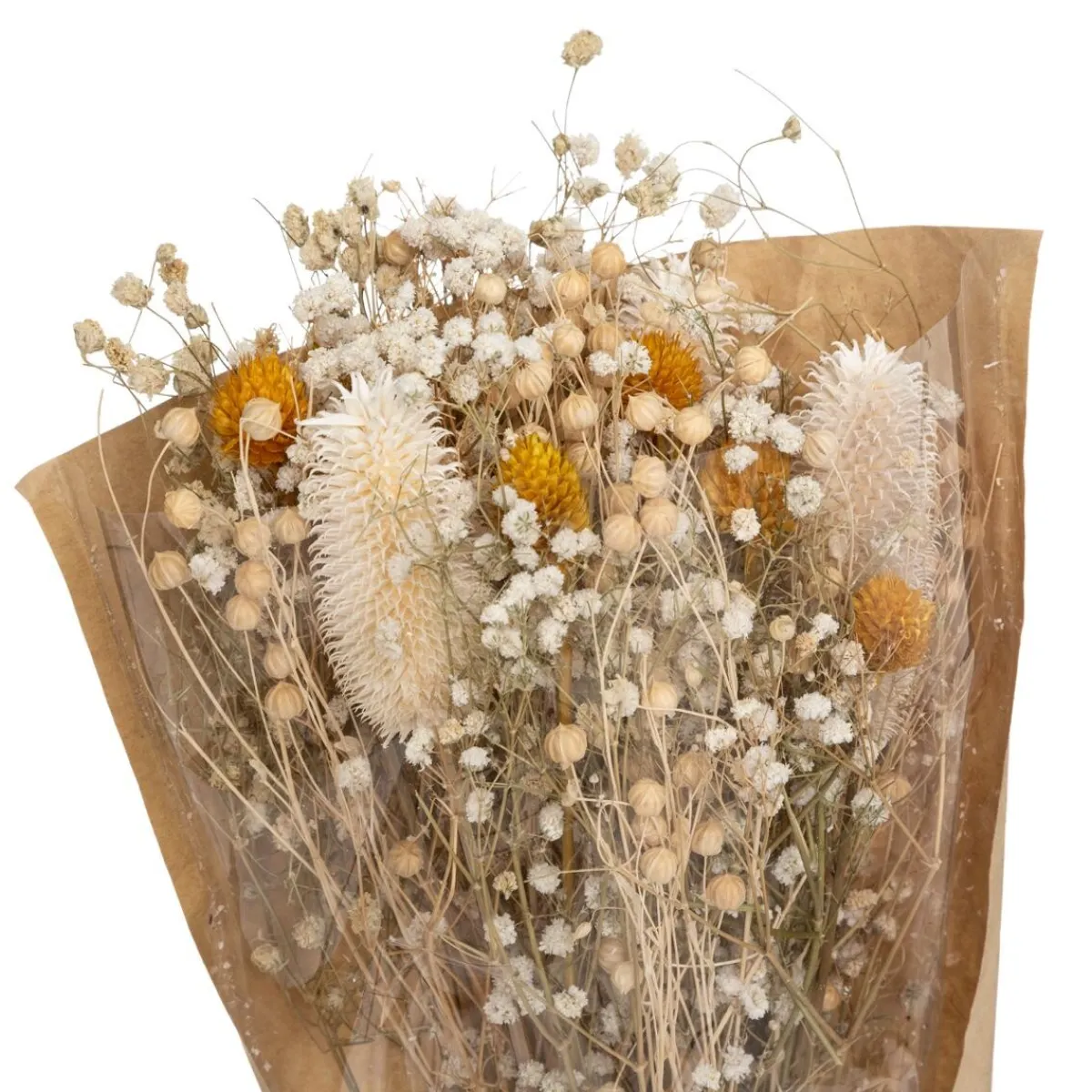 Atmosphera Fleurs Séchées*Bouquet fleurs séchées "Chardon" Beige