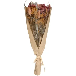 Atmosphera Fleurs Séchées*Bouquet fleurs séchées "Eucalyptus" Rougerubis