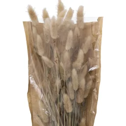 Atmosphera Fleurs Séchées*Bouquet fleurs séchées "Ori" Blanc