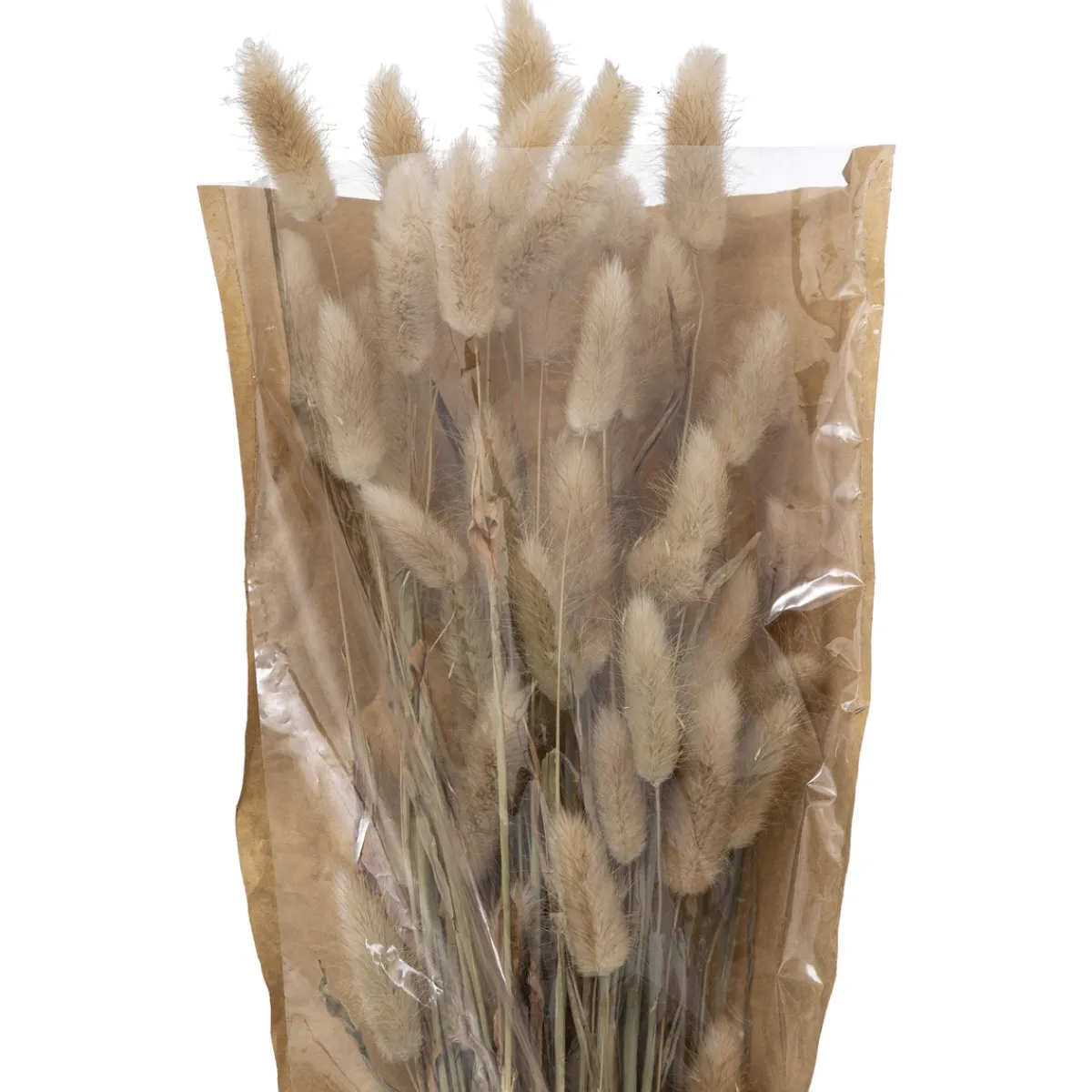 Atmosphera Fleurs Séchées*Bouquet fleurs séchées "Ori" Blanc