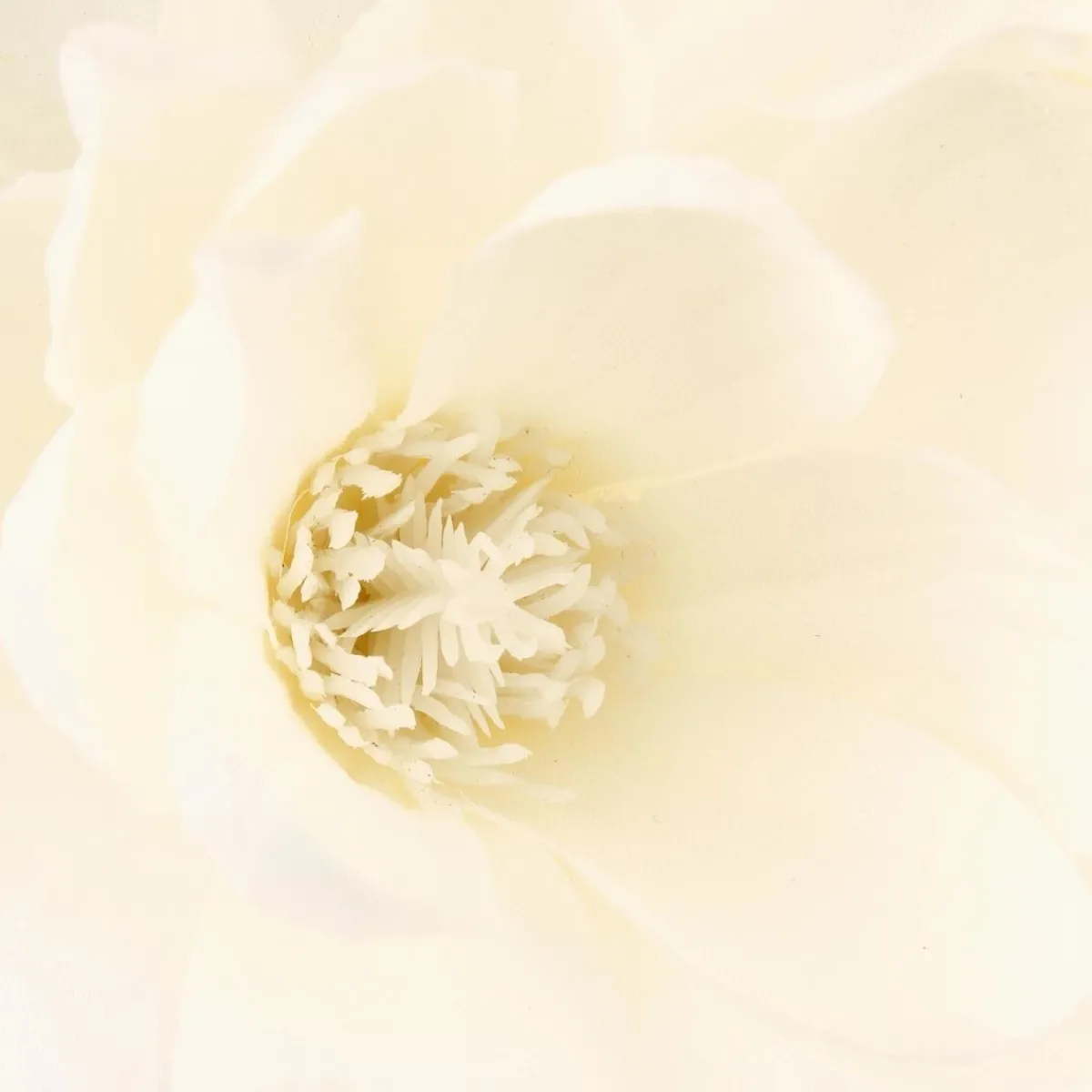 Atmosphera Fleurs Artificielles*Branches de magnolia, vase Rose