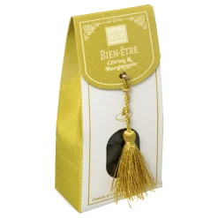Atmosphera Parfums D'Ambiance*Cônes d'encens avec support Patchouli