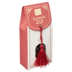 Atmosphera Parfums D'Ambiance*Cônes d'encens avec support Patchouli