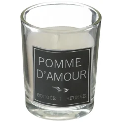 Atmosphera Coffrets Senteurs*Coffret cadeau "Manège" Multicolore