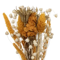 Atmosphera Fleurs Séchées*Composition de fleurs séchées "Subli" avec vase Vert