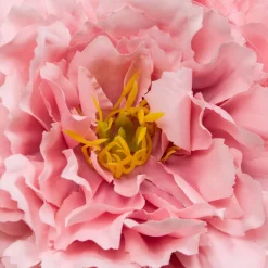 Atmosphera Fleurs Artificielles*Composition florale 