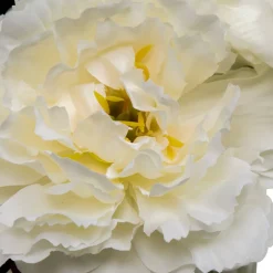 Atmosphera Fleurs Artificielles*Composition florale 
