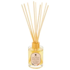 Atmosphera Diffuseurs*Diffuseur de parfum "Nibi" Pommed'amour