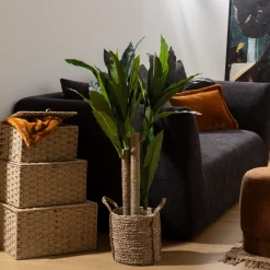 Atmosphera Plantes Artificielles*Dracena artificielle