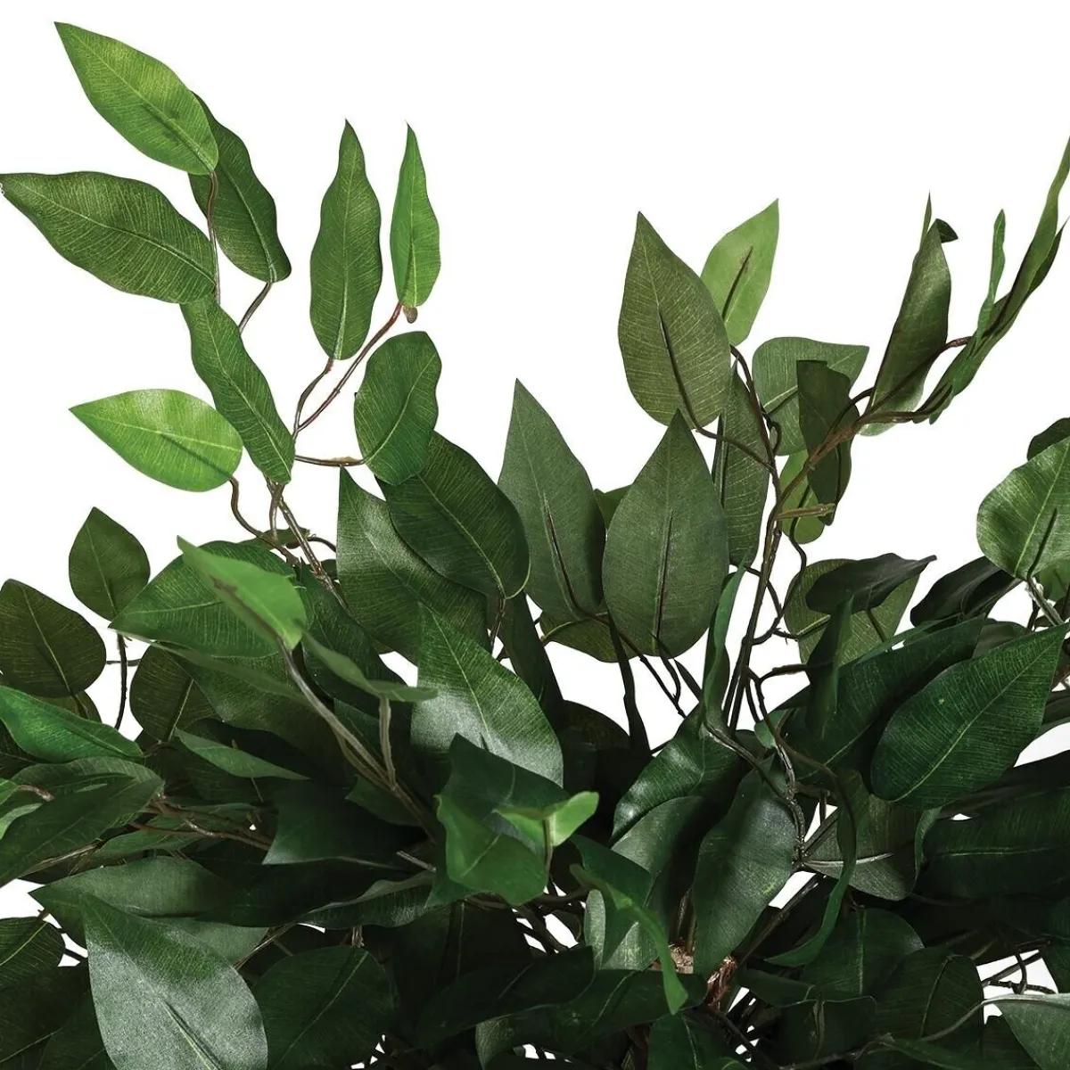 Atmosphera Plantes Artificielles*Ficus artificiel Vert1