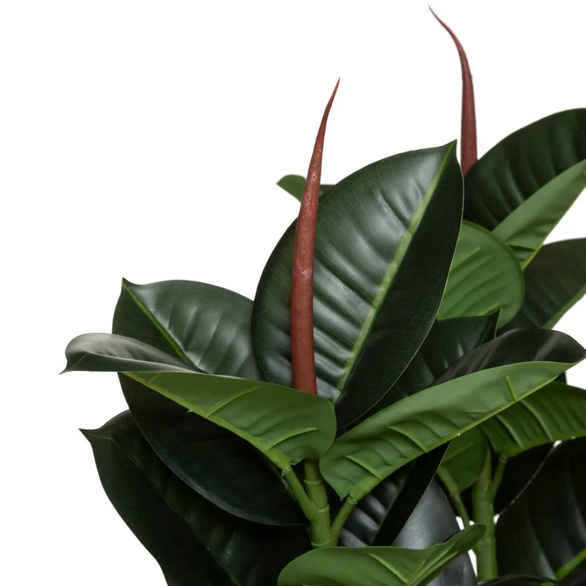 Atmosphera Plantes Artificielles*Ficus robusta artificiel H120 cm Vert