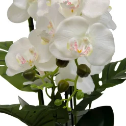 Atmosphera Fleurs Artificielles*Fleur artificielle en pot "Asia" ModèleA