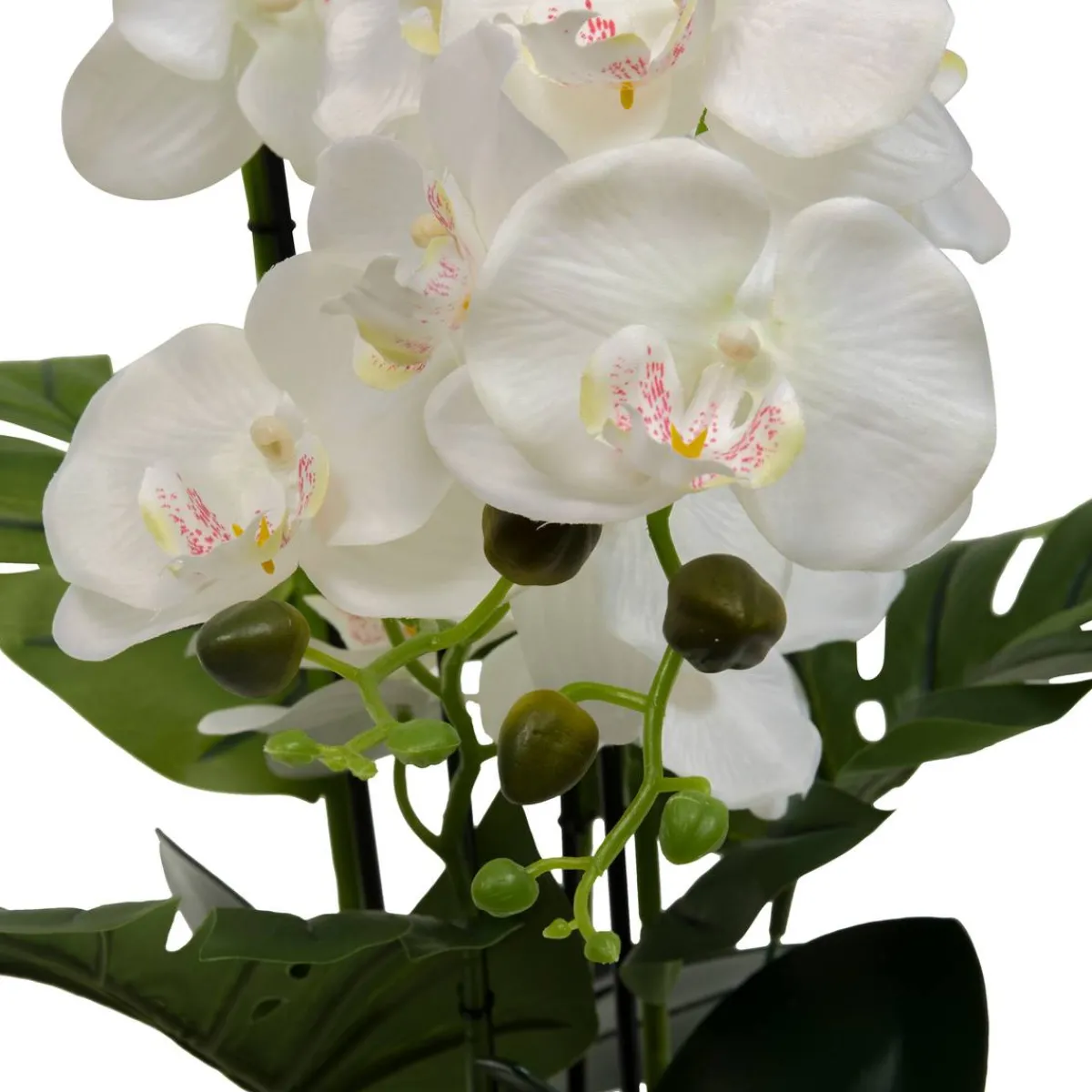 Atmosphera Fleurs Artificielles*Fleur artificielle en pot "Asia" ModèleA