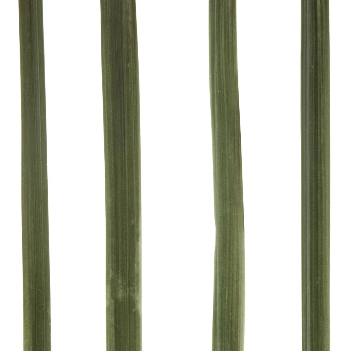 Atmosphera Fleurs Artificielles*Fleur artificielle en pot "Asia" ModèleA