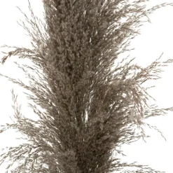 Atmosphera Fleurs Séchées*3 fleurs séchées "Pampa brune" Blanc