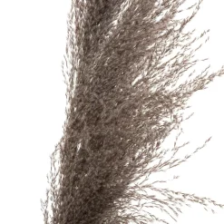 Atmosphera Fleurs Séchées*3 fleurs séchées