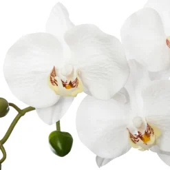 Atmosphera Plantes Artificielles|Fleurs Artificielles*Orchidée artificielle Multicolore