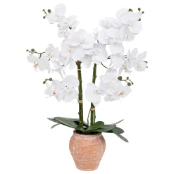 Atmosphera Fleurs Artificielles*Orchidée artificielle "Dena" Beige