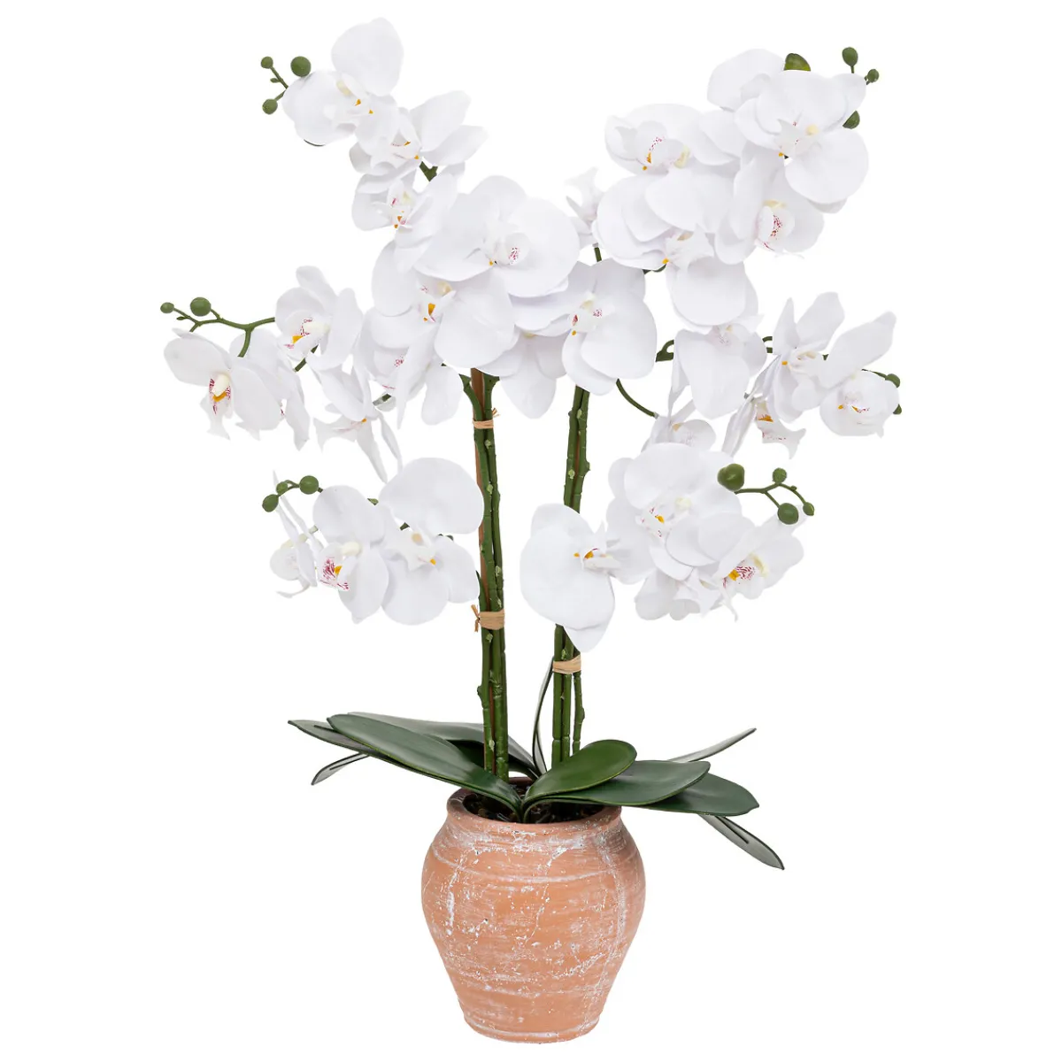 Atmosphera Fleurs Artificielles*Orchidée artificielle "Dena" Beige