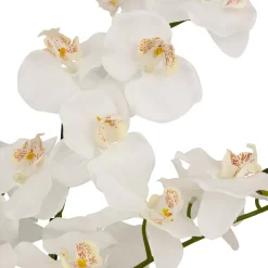 Atmosphera Fleurs Artificielles*Orchidée artificielle en pot "Mick" Vert