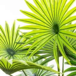 Atmosphera Plantes Artificielles*Palmier artificiel Vert