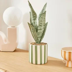 Atmosphera Plantes Artificielles*Plante artificielle en pot "Cheri" Vert