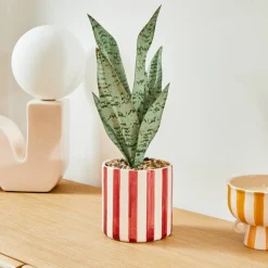 Atmosphera Plantes Artificielles*Plante artificielle en pot "Cheri" Vert