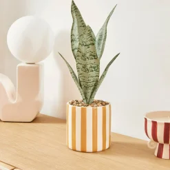 Atmosphera Plantes Artificielles*Plante artificielle en pot 