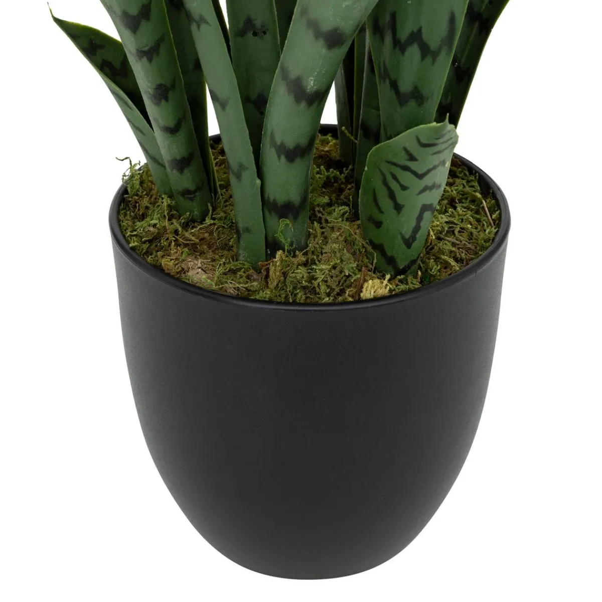 Atmosphera Plantes Artificielles*Plante artificielle sansevieria "Toby" Vert