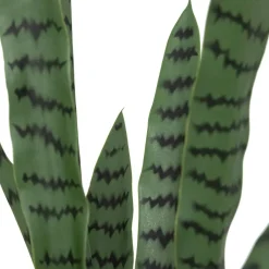 Atmosphera Plantes Artificielles*Plante artificielle sansevieria