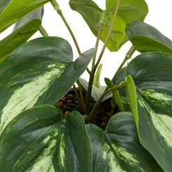 Atmosphera Plantes Artificielles*Plante artificielle "Soleya" Vertclair
