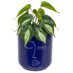 Atmosphera Plantes Artificielles*Plante artificielle "Soleya" Vertclair