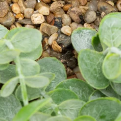 Atmosphera Plantes Artificielles*Plante artificielle suspendue "Zea" Noir