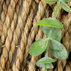 Atmosphera Plantes Artificielles*Plante artificielle suspendue "Zea" Noir