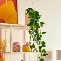 Atmosphera Plantes Artificielles*Plante artificielle suspendu(e) "Pool" Framboise