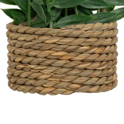 Atmosphera Plantes Artificielles*Plante artificielle suspendue 